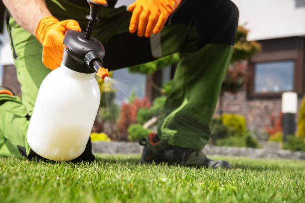 Best Pest Removal Services  in Malibu, CA