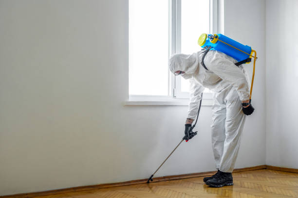 Flea Control Services in Malibu, CA