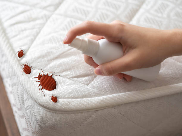 Best Best Pest Control Companies  in Malibu, CA
