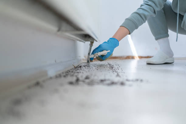 Best Cockroach Control Services  in Malibu, CA